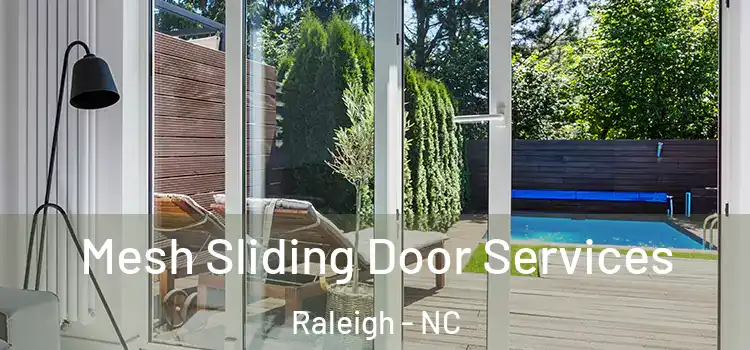 Mesh Sliding Door Services Raleigh - NC